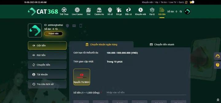 Đánh giá tổng quan về cách nạp rút tiền Cat368