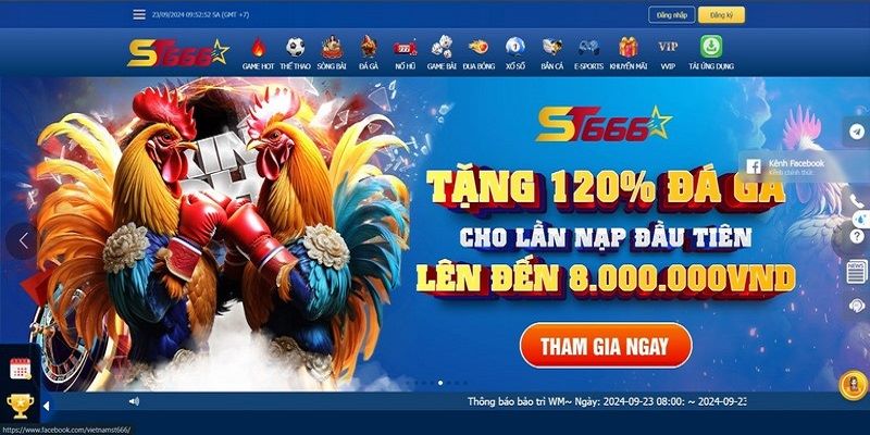 ST666 có khuyến mãi gì hấp dẫn?