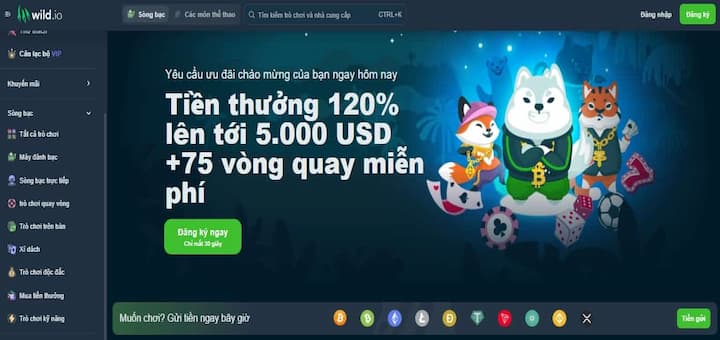 Vài nét về nhà cái Wildio chất lượng top đầu hiện nay