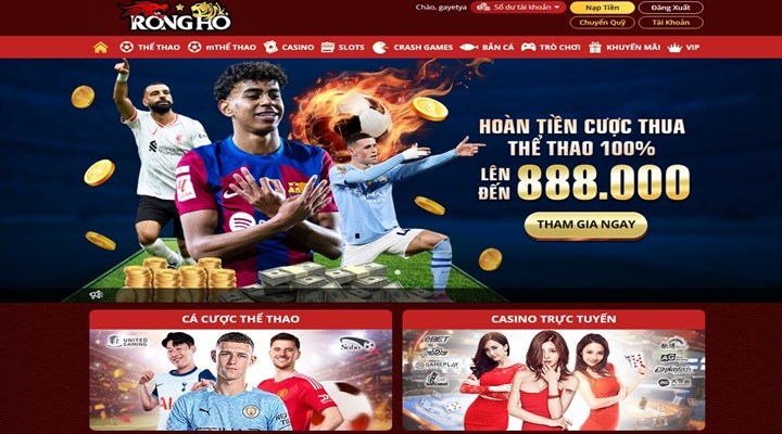 Quy trình tham gia Rongho99 cơ bản cho người mới