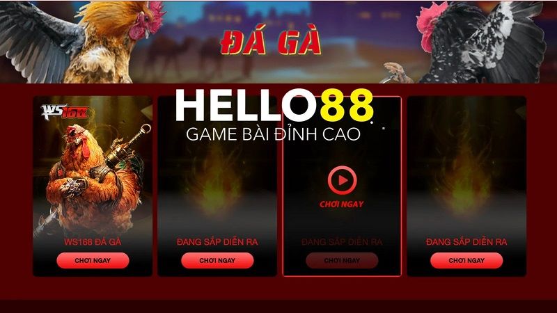 Hướng dẫn đăng ký và tham gia cá cược tại Hello 88